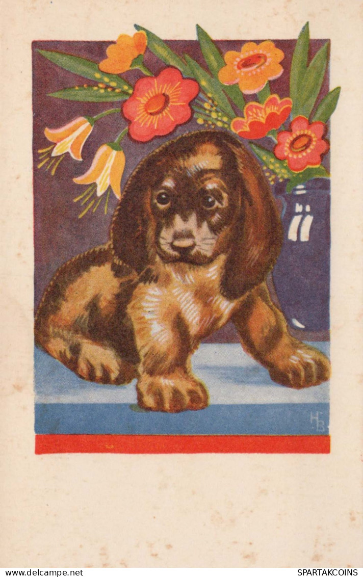 HUND Tier Vintage Ansichtskarte Postkarte CPA #PKE790.A - Perros