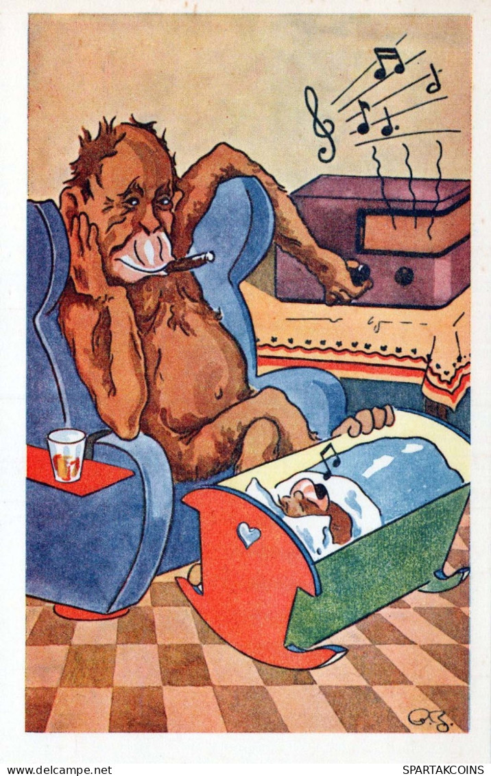 SCIMMIA Animale Vintage Cartolina CPA #PKE768.A - Affen