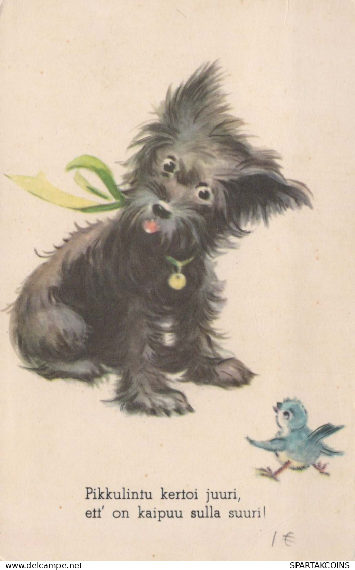 DOG Animals Vintage Postcard CPA #PKE786.A - Perros