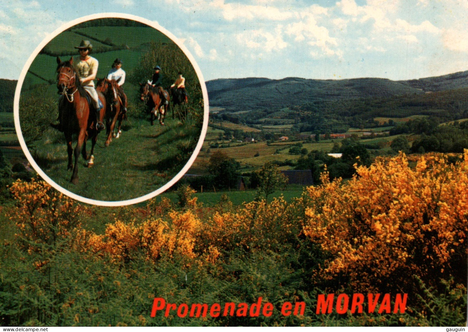 CPM - CHEVAL - Promenade En MORVAN ... Editions Nivernaises - Horses