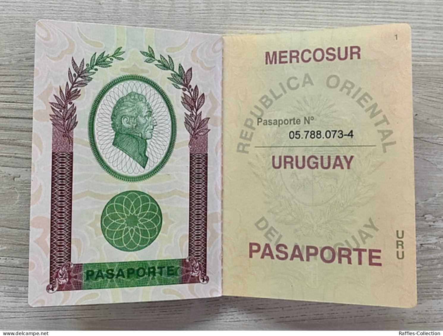 Uruguay Passport Passeport Reisepass Pasaporte Passaporto - Historische Documenten