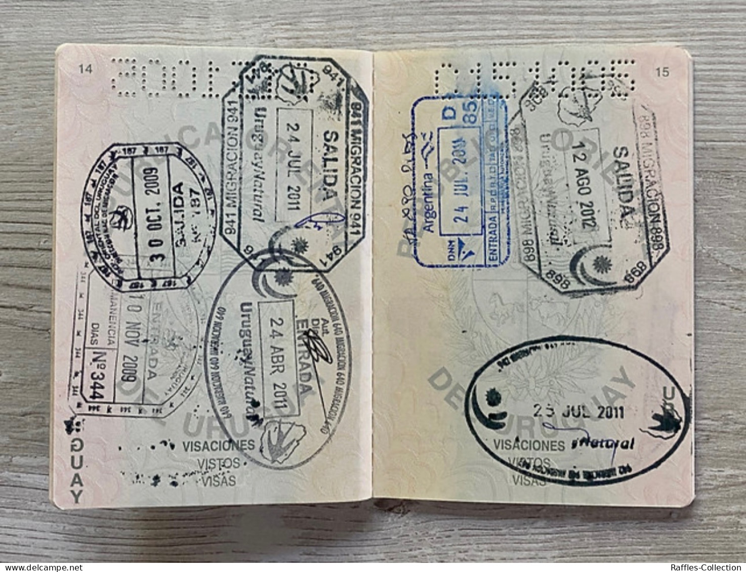 Uruguay Passport Passeport Reisepass Pasaporte Passaporto - Historische Documenten