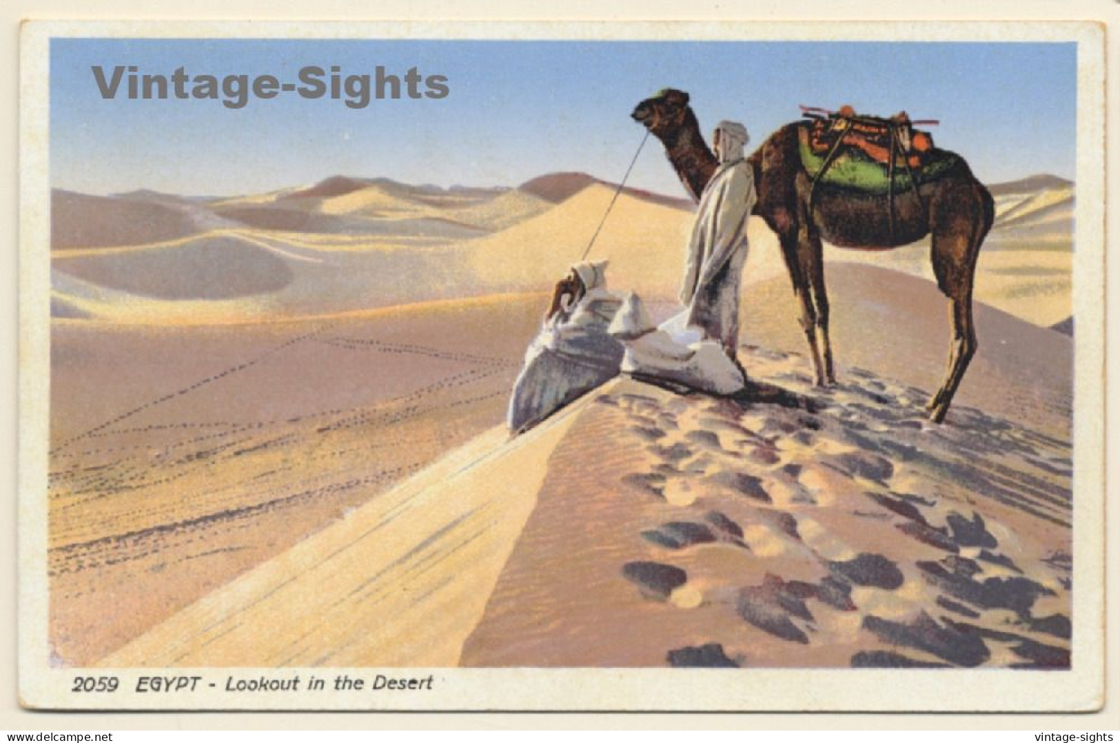 Lehnert & Landrock N°2059: Lookout In The Desert / Camels (Vintage PC 1910s/1920s) - Otros & Sin Clasificación