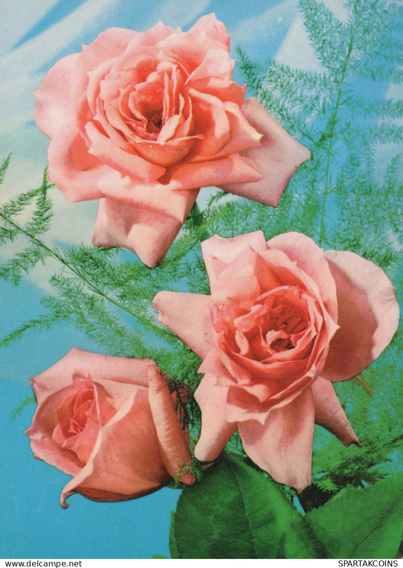 FLOWERS Vintage Postcard CPSM #PAR916.GB - Bloemen