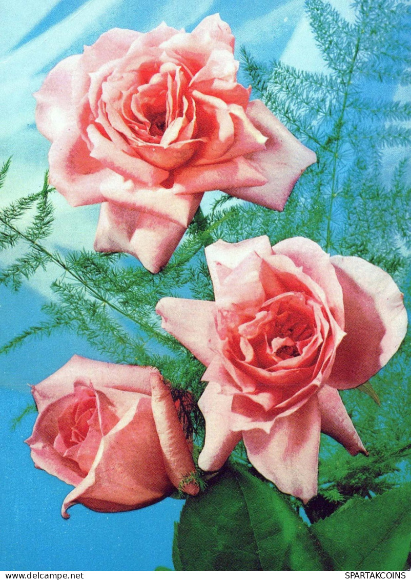 FLOWERS Vintage Postcard CPSM #PAR916.GB - Bloemen