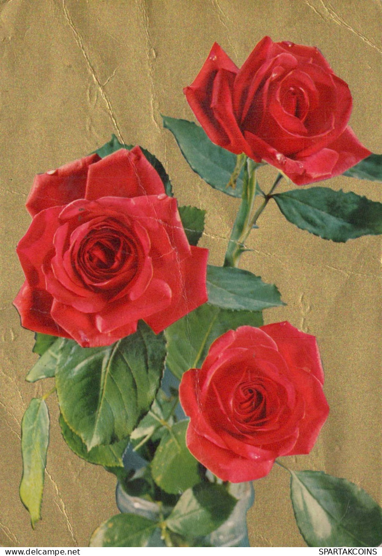FLOWERS Vintage Postcard CPSM #PAR976.GB - Flores