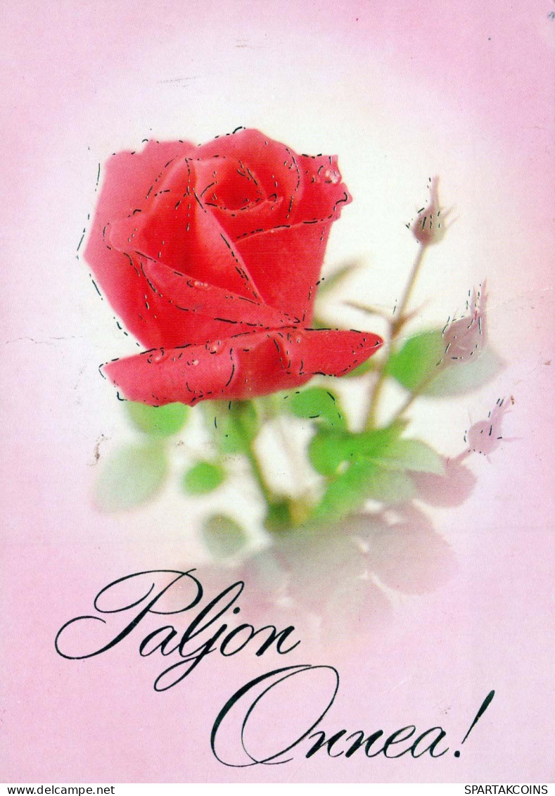 FLOWERS Vintage Postcard CPSM #PAS217.GB - Flores