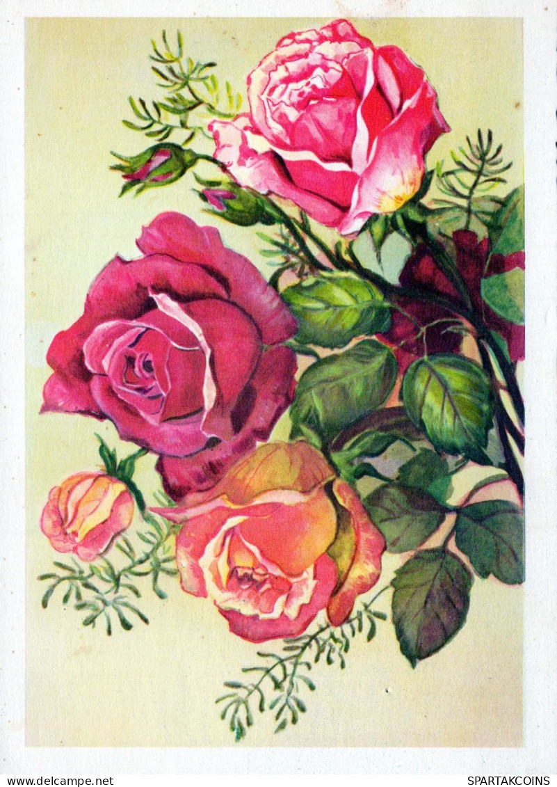 FLOWERS Vintage Postcard CPSM #PAR856.GB - Flores