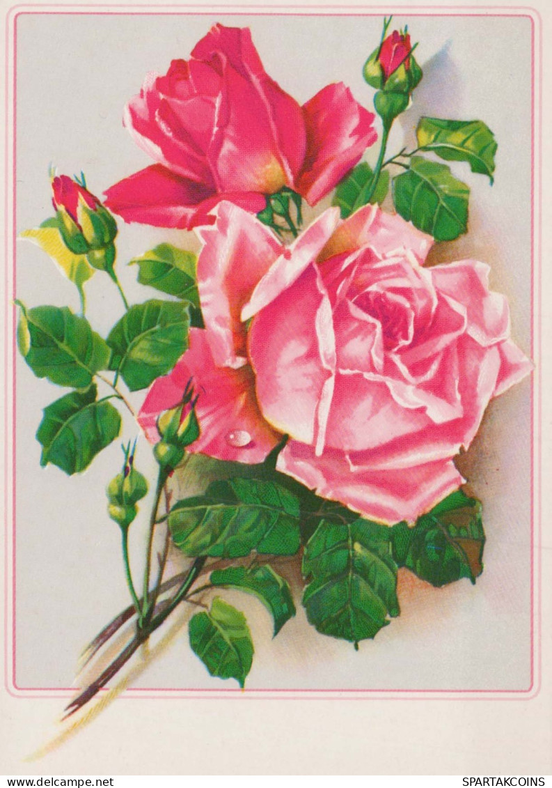 FLOWERS Vintage Postcard CPSM #PAS097.GB - Flores