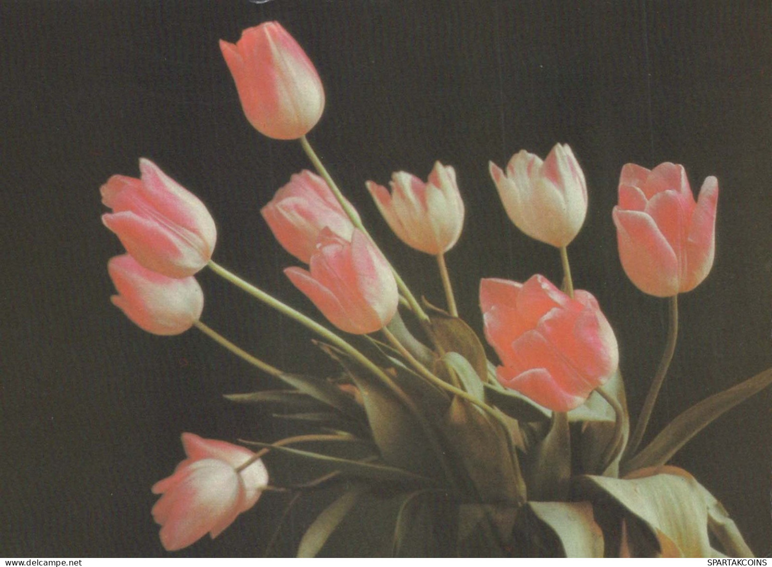 FLOWERS Vintage Postcard CPSM #PAR436.GB - Flores