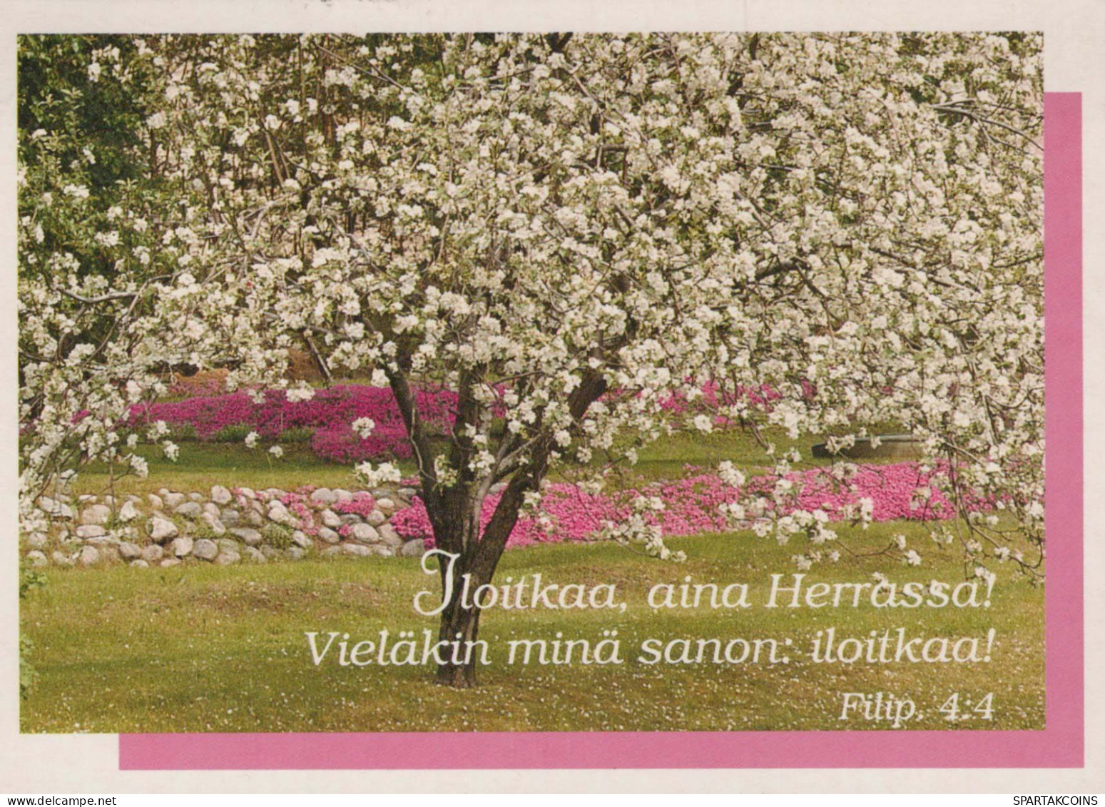 FLOWERS Vintage Postcard CPSM #PAR616.GB - Bloemen