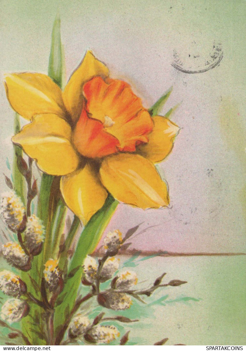 FLOWERS Vintage Postcard CPSM #PAR074.GB - Bloemen