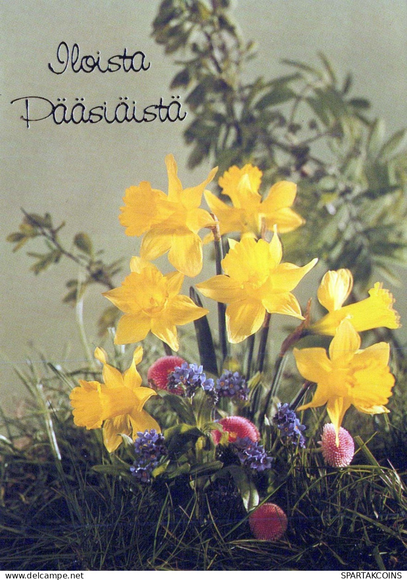 FLOWERS Vintage Postcard CPSM #PAR014.GB - Fleurs