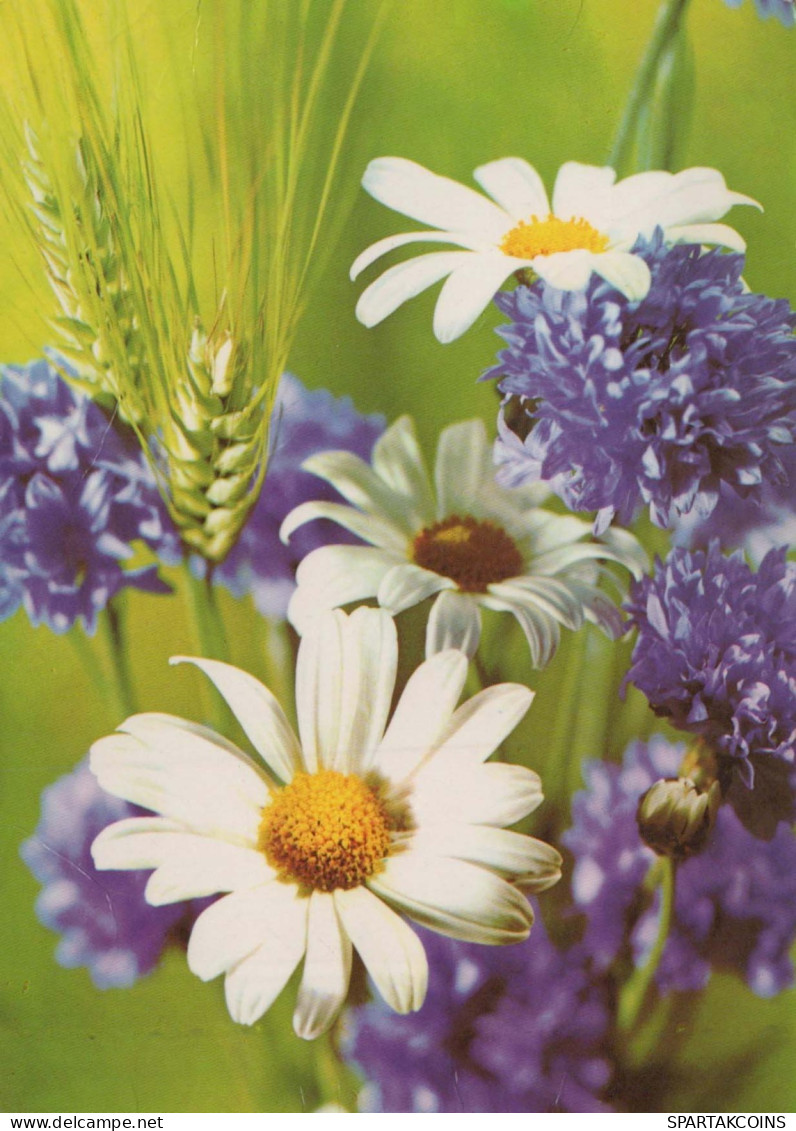 FLOWERS Vintage Postcard CPSM #PAR195.GB - Bloemen