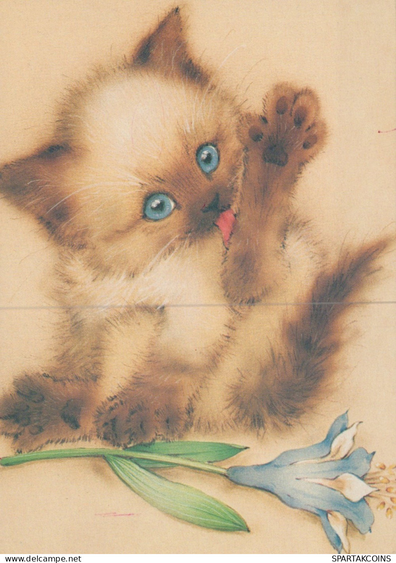 CAT KITTY Animals Vintage Postcard CPSM #PAM177.GB - Chats