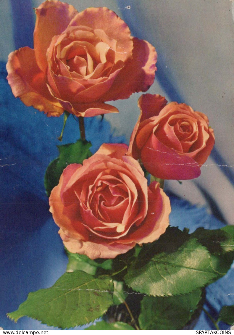 FLORES Vintage Tarjeta Postal CPSM #PAR977.ES - Flores