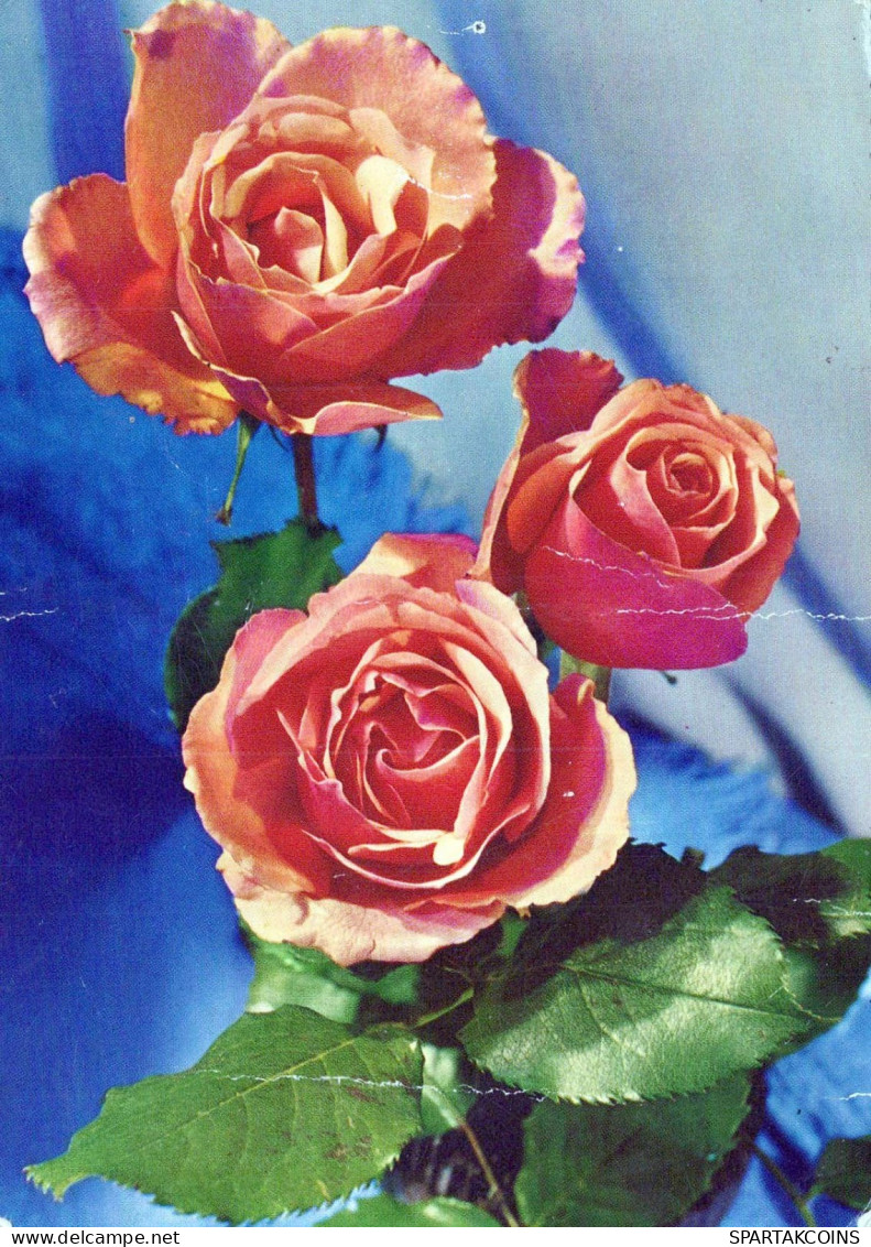 FLORES Vintage Tarjeta Postal CPSM #PAR977.ES - Fleurs