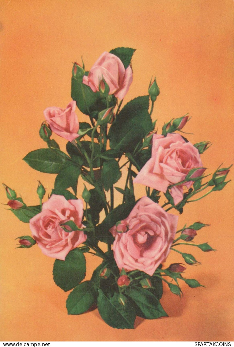 FLORES Vintage Tarjeta Postal CPSM #PAR737.ES - Bloemen