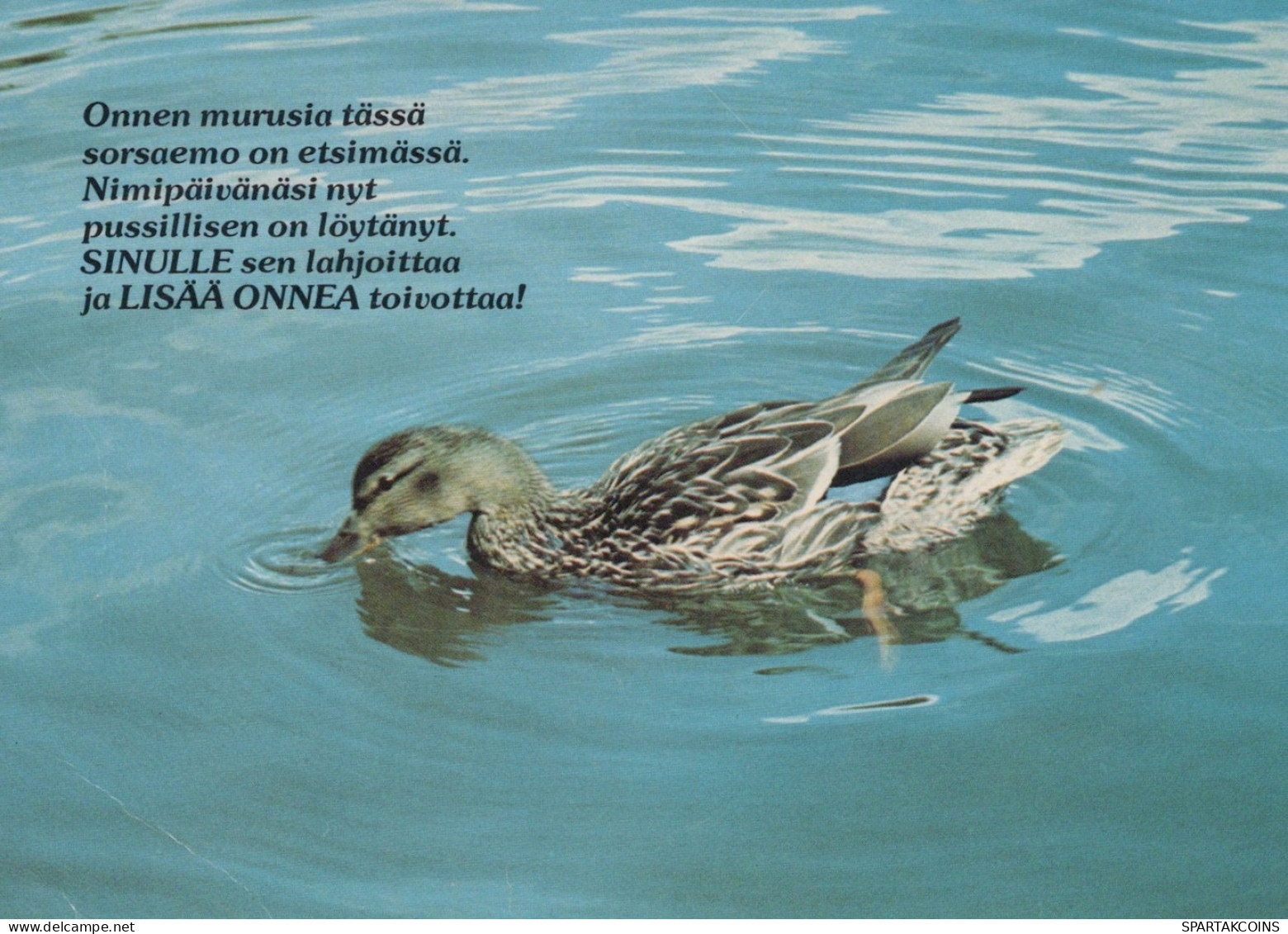 PÁJARO Animales Vintage Tarjeta Postal CPSM #PAN302.ES - Oiseaux