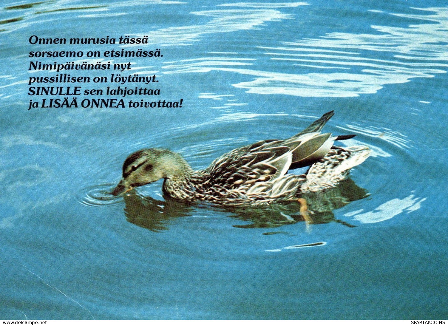 PÁJARO Animales Vintage Tarjeta Postal CPSM #PAN302.ES - Oiseaux