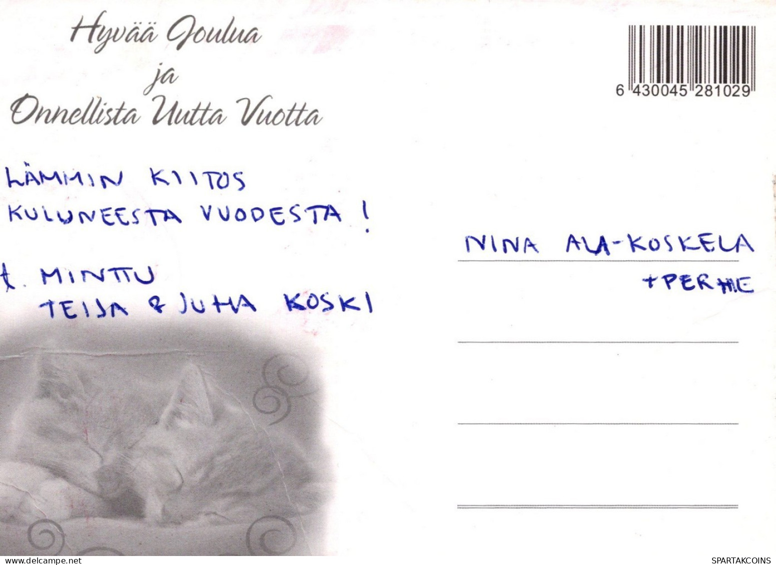 GATO GATITO Animales Vintage Tarjeta Postal CPSM #PAM552.ES - Chats