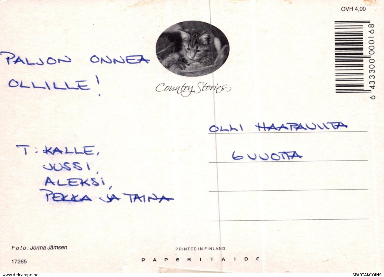 GATO GATITO Animales Vintage Tarjeta Postal CPSM #PAM364.ES - Chats