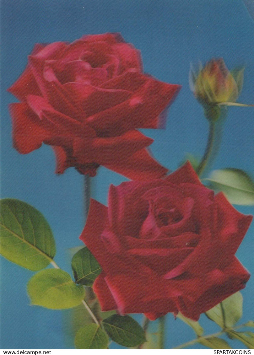 FLOWERS LENTICULAR 3D Vintage Postcard CPSM #PAZ173.GB - Flores