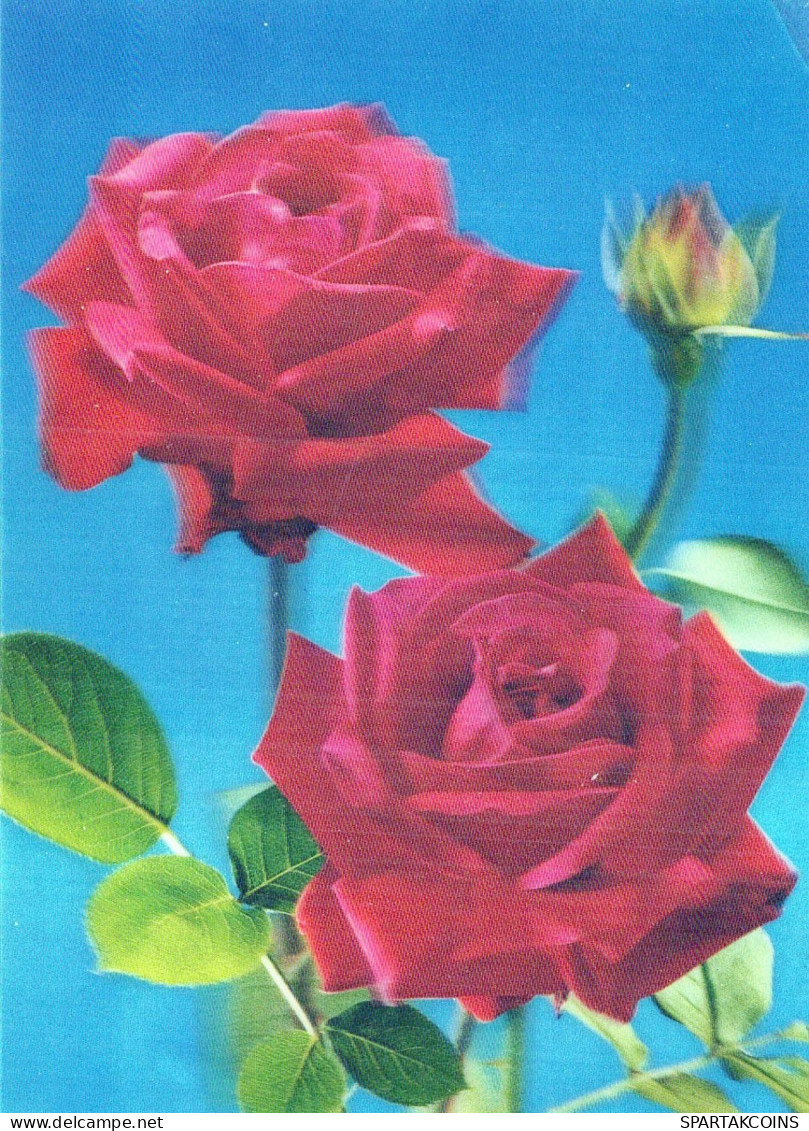 FLOWERS LENTICULAR 3D Vintage Postcard CPSM #PAZ173.GB - Flores