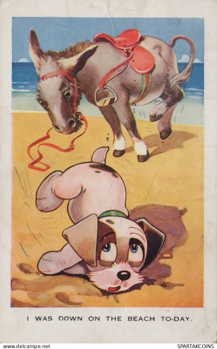 DONKEY Animals Vintage Antique Old CPA Postcard #PAA245.GB - Donkeys