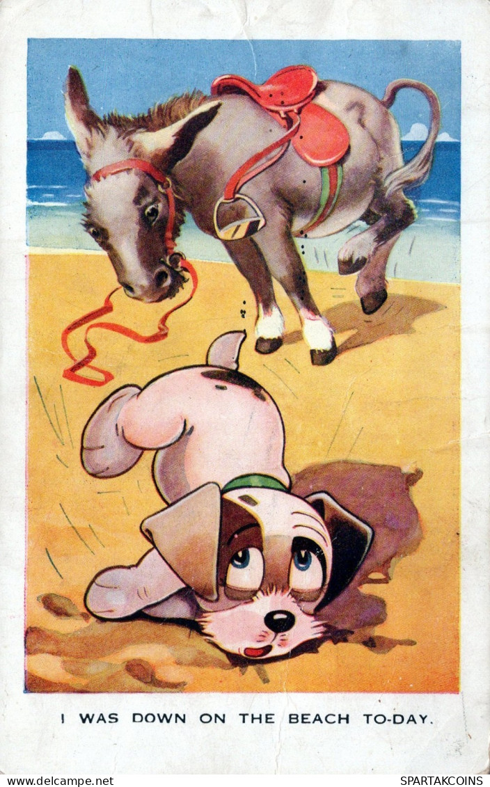 DONKEY Animals Vintage Antique Old CPA Postcard #PAA245.GB - Donkeys