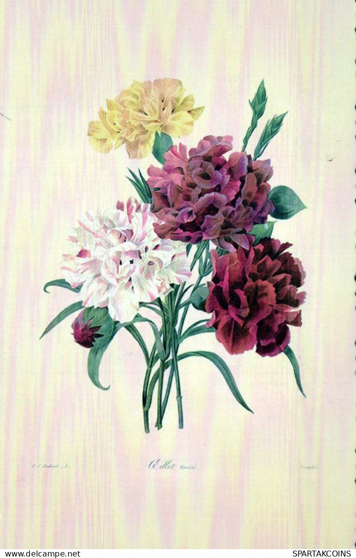 FLOWERS Vintage Postcard CPSMPF #PKG042.GB - Flores