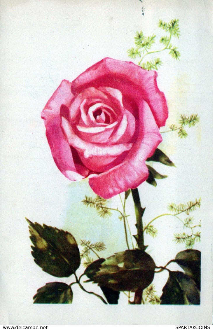 FLOWERS Vintage Postcard CPA #PKE740.GB - Flores