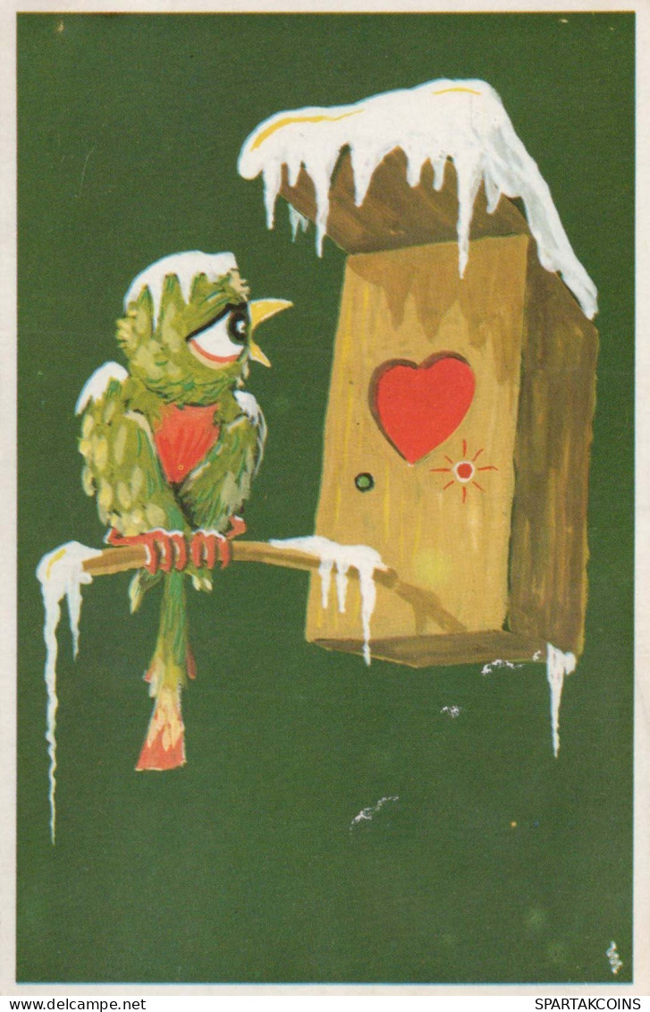 BIRD Animals Vintage Postcard CPA #PKE806.GB - Oiseaux
