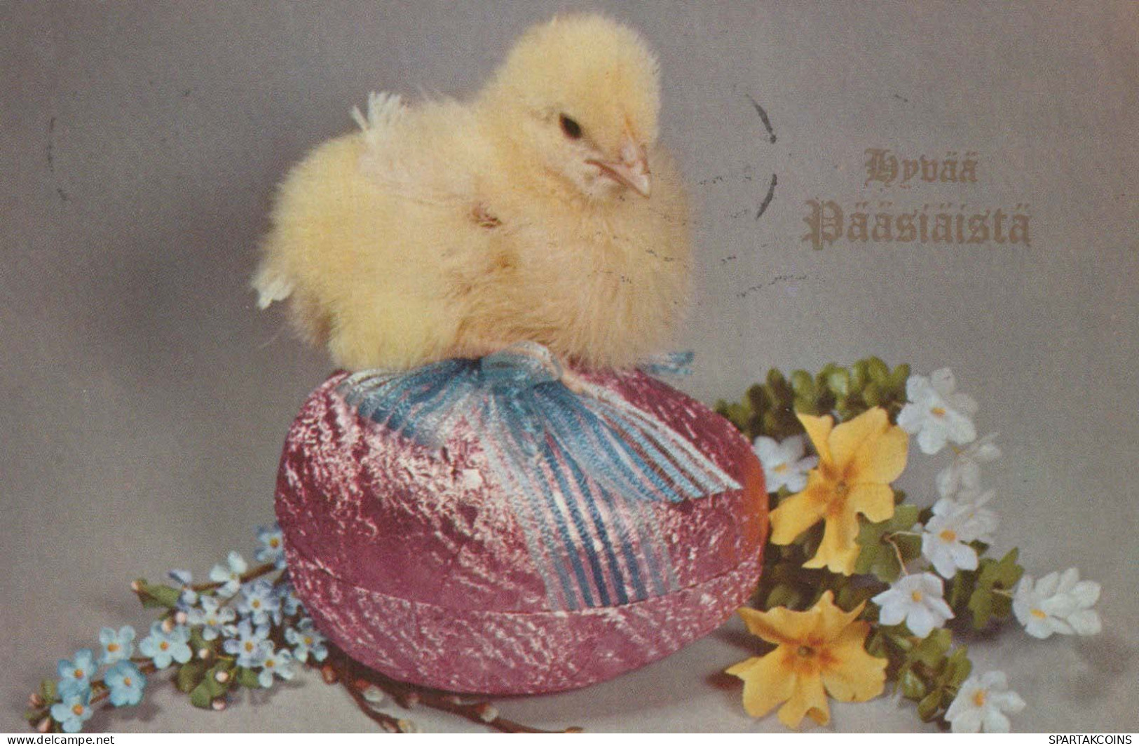 EASTER CHICKEN EGG Vintage Postcard CPA #PKE430.GB - Easter