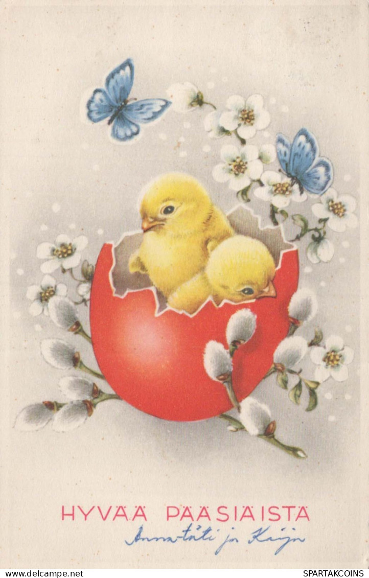 EASTER CHICKEN EGG Vintage Postcard CPA #PKE114.GB - Easter