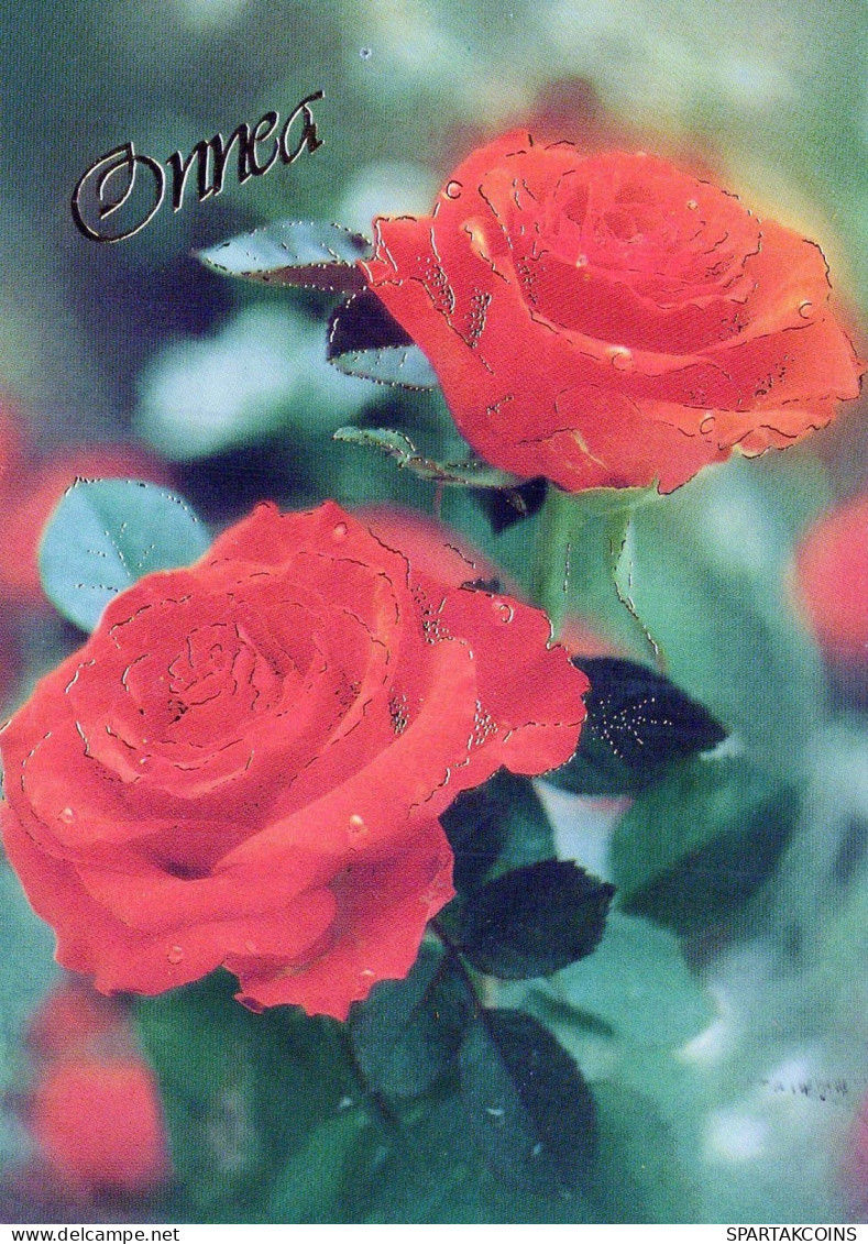 FLOWERS Vintage Postcard CPSM #PBZ444.GB - Flores
