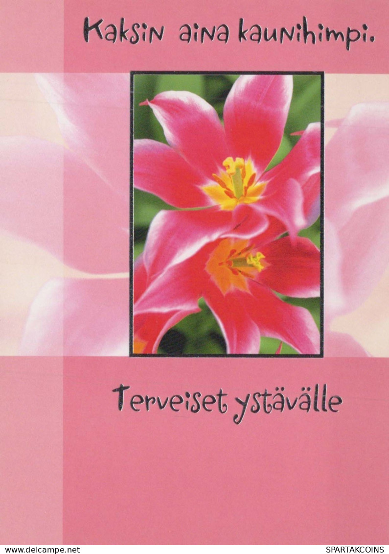 FLOWERS Vintage Postcard CPSM #PBZ746.GB - Flores