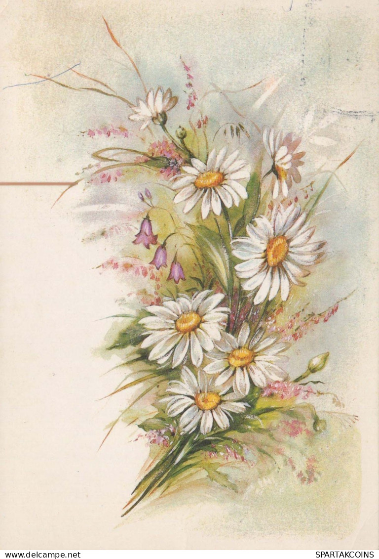 FLOWERS Vintage Postcard CPSM #PBZ023.GB - Flores