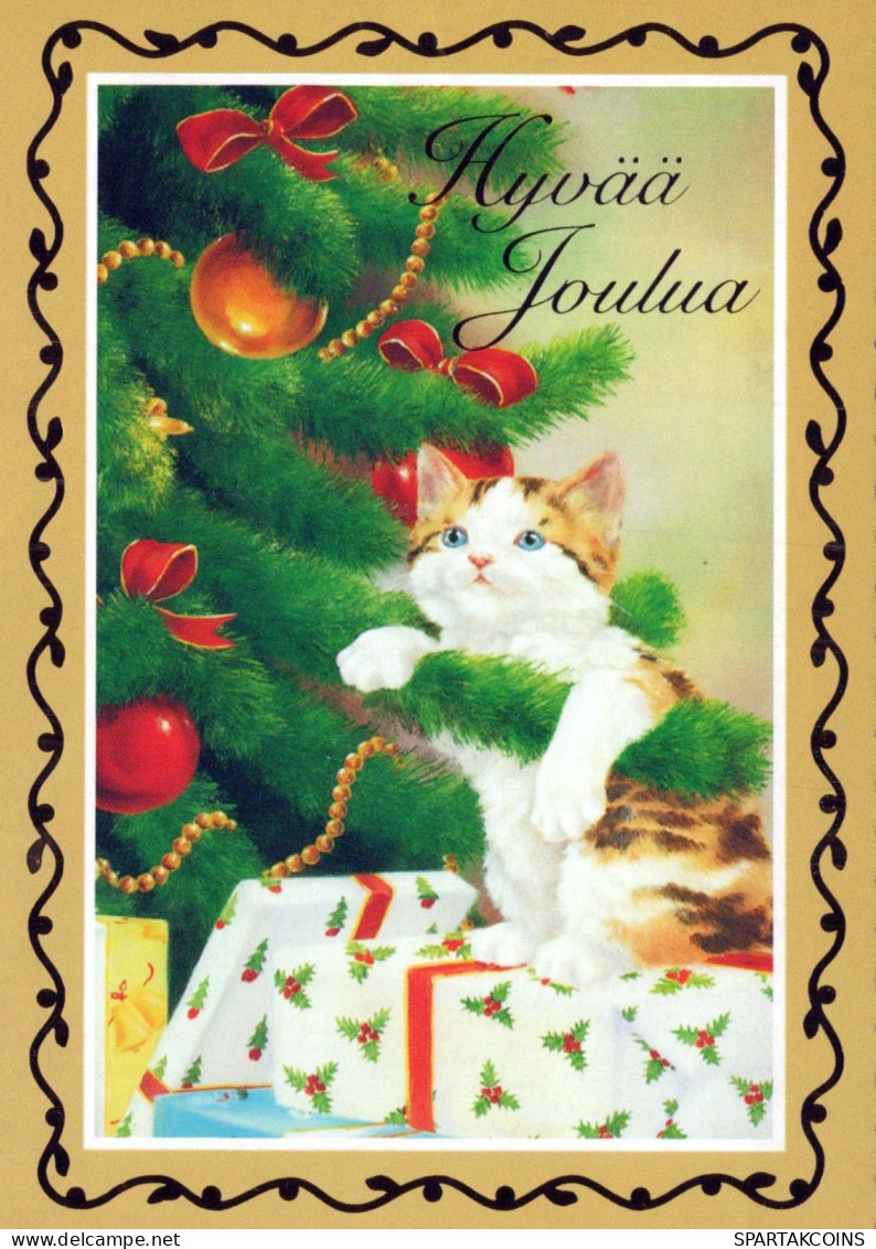 CAT KITTY Animals Vintage Postcard CPSM #PBQ780.GB - Chats