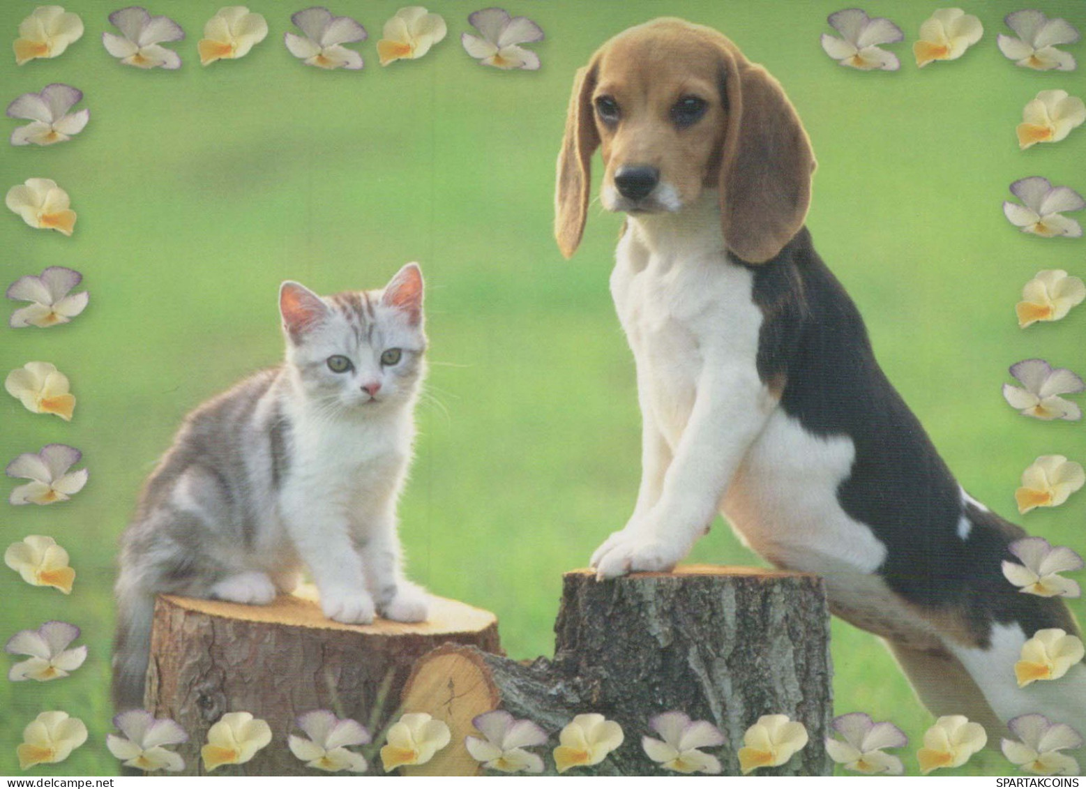 DOG Animals Vintage Postcard CPSM #PBQ715.GB - Dogs
