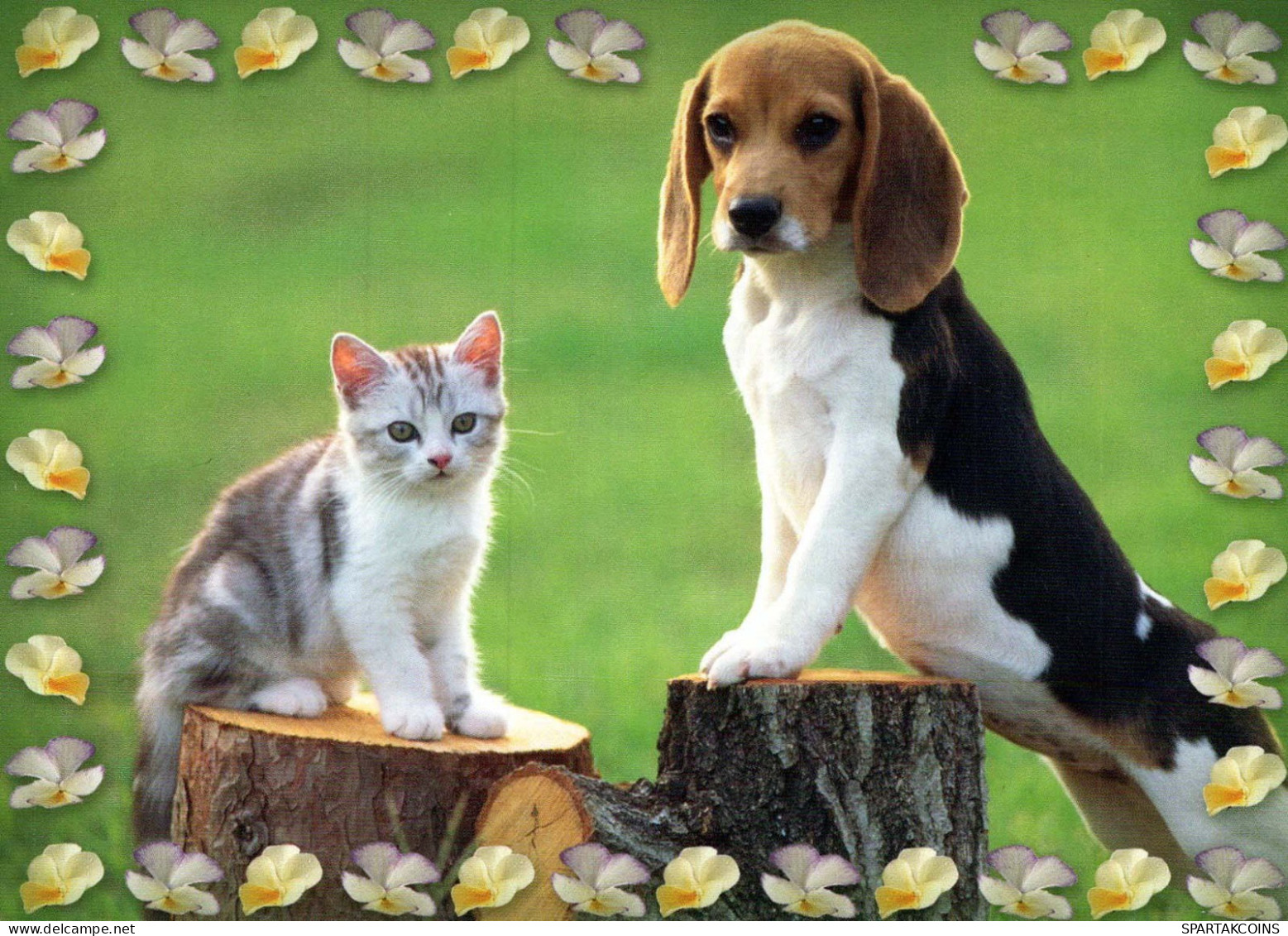 DOG Animals Vintage Postcard CPSM #PBQ715.GB - Chiens