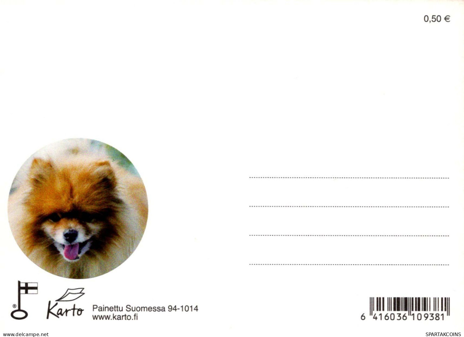 DOG Animals Vintage Postcard CPSM #PBQ377.GB - Dogs
