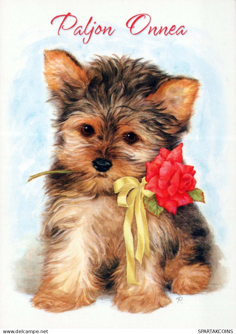 DOG Animals Vintage Postcard CPSM #PBQ377.GB - Dogs