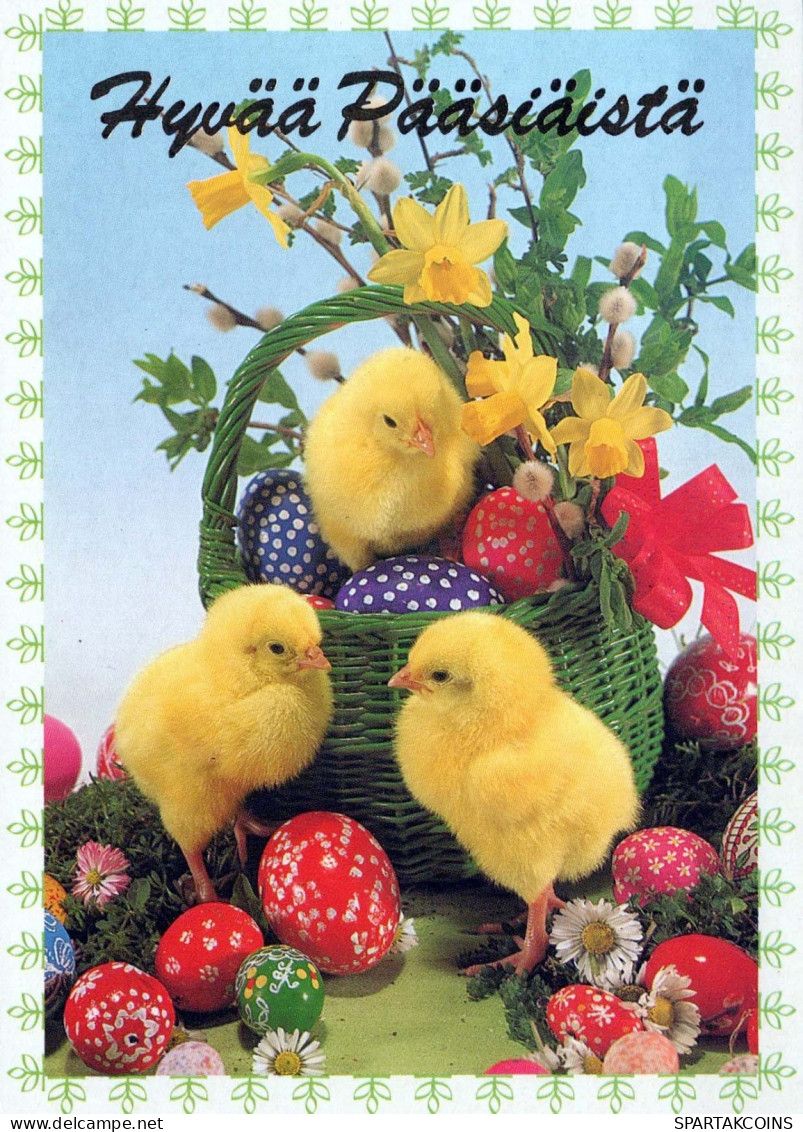 EASTER CHICKEN EGG Vintage Postcard CPSM #PBO794.GB - Easter