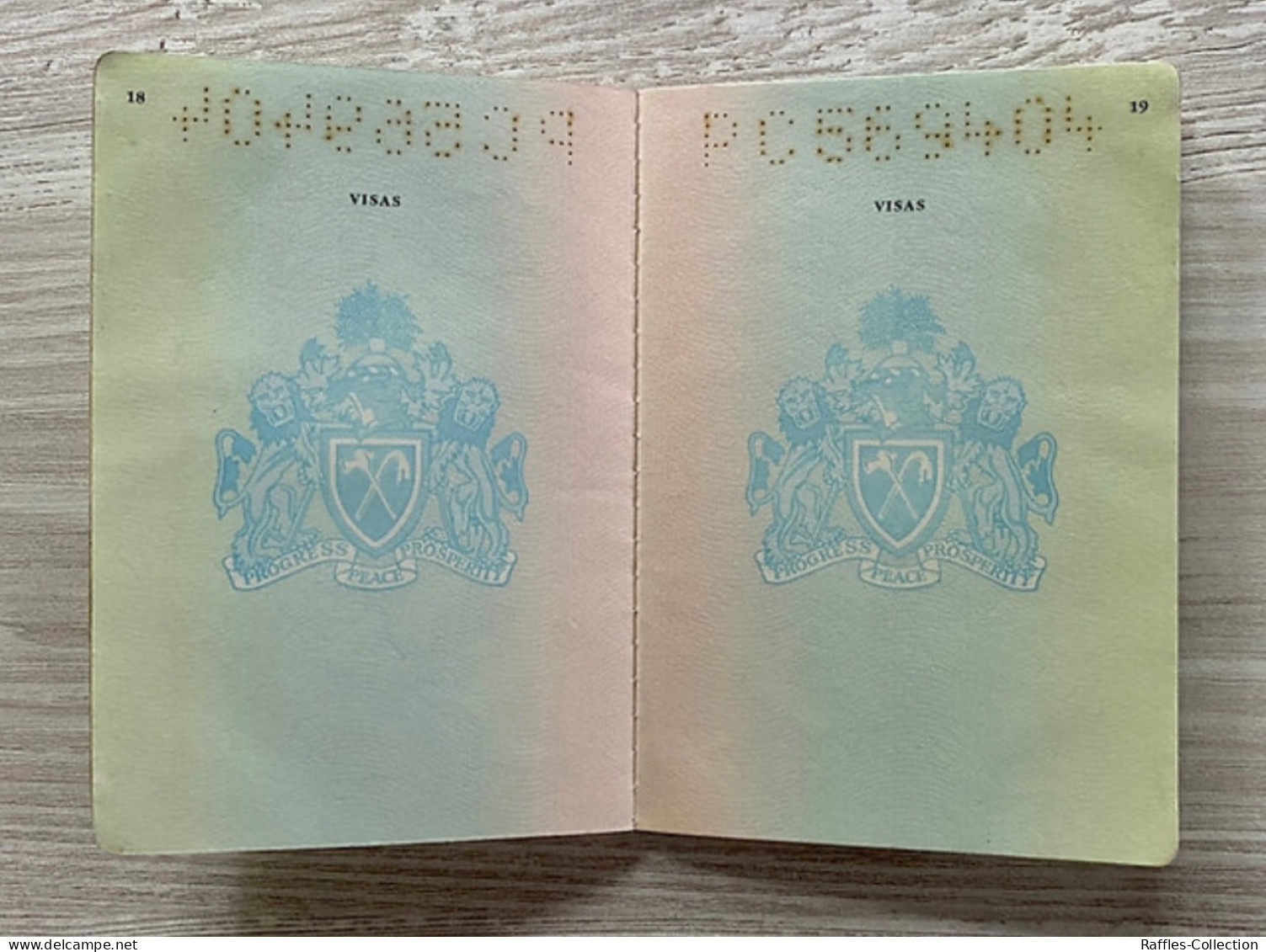 Gambia Passport Passeport Reisepass Pasaporte Passaporto - Historische Documenten