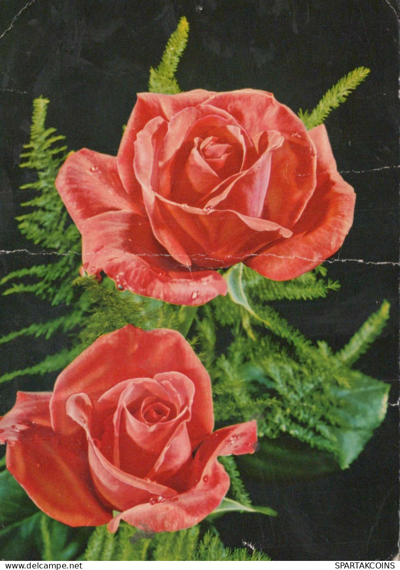 FLEURS Vintage Carte Postale CPSM #PAS159.FR - Flores