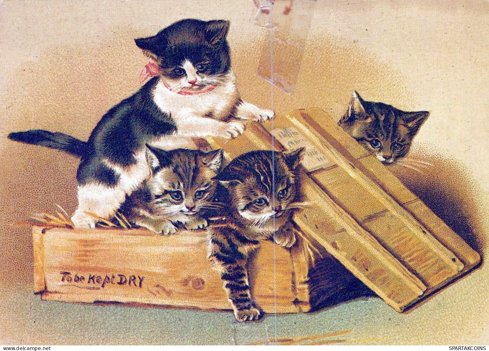 CHAT CHAT Animaux Vintage Carte Postale CPSM #PAM430.FR - Cats