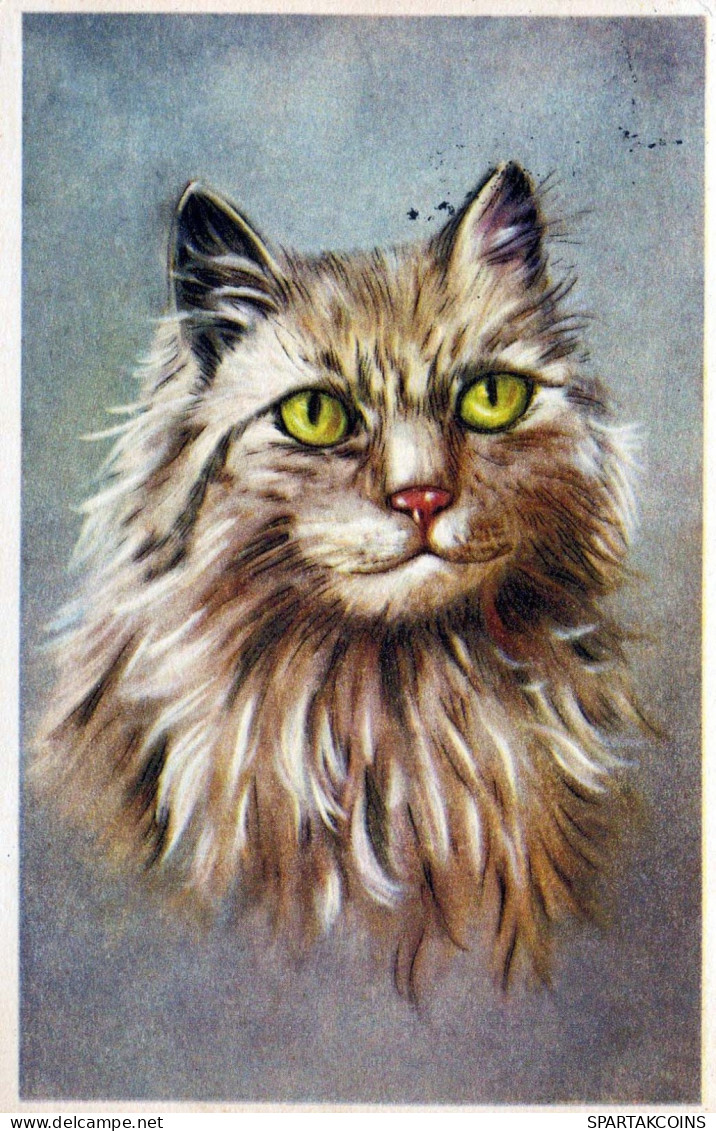 GATO Vintage Tarjeta Postal CPSMPF #PKG911.ES - Cats