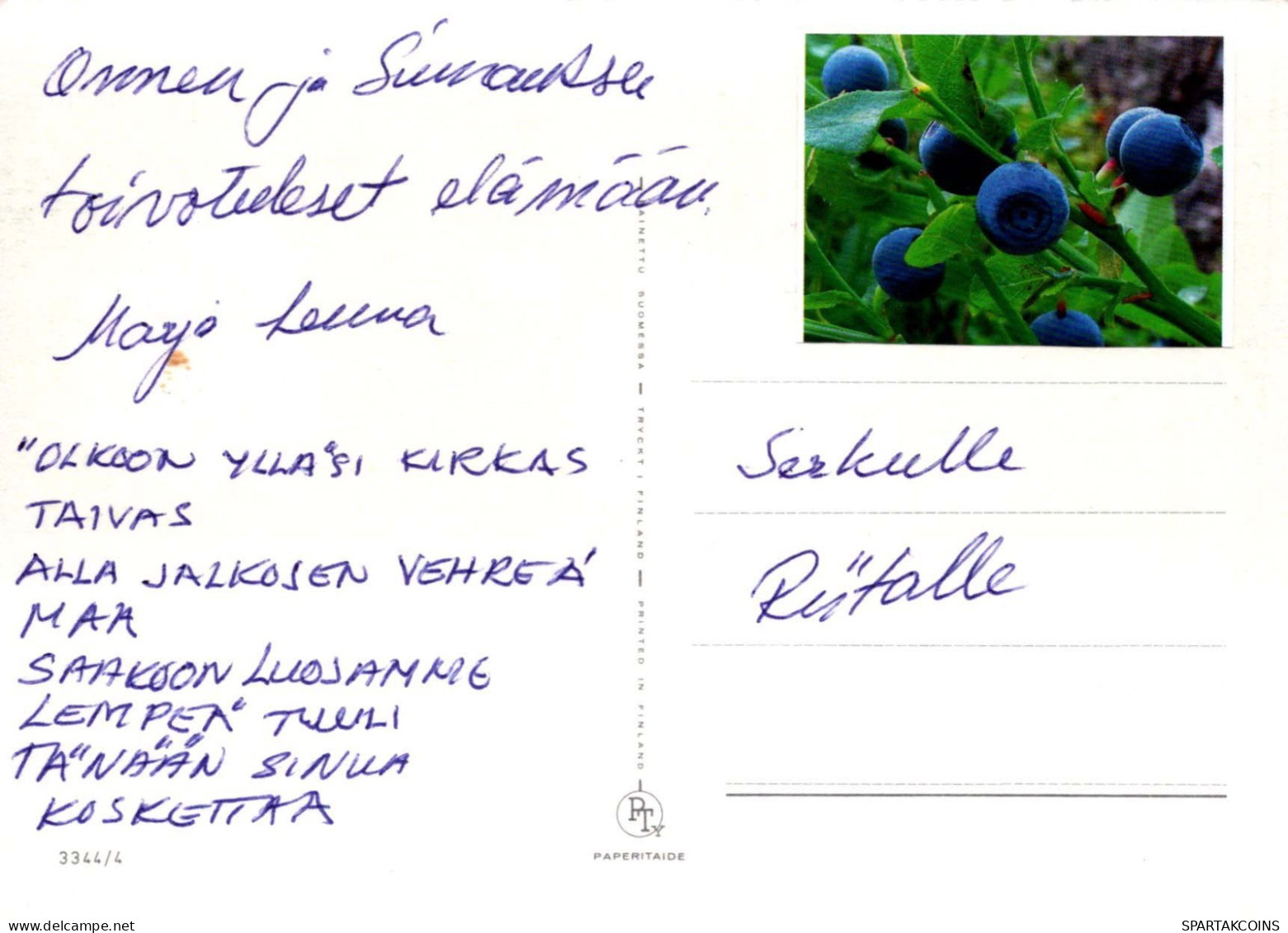 FLORES Vintage Tarjeta Postal CPSM #PBZ869.ES - Blumen