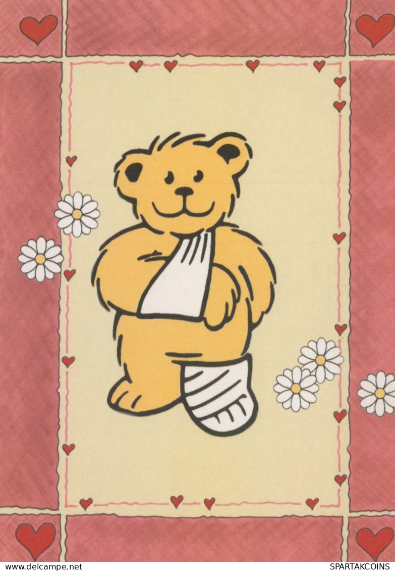 OSO Animales Vintage Tarjeta Postal CPSM #PBS346.ES - Ours